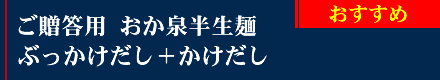 おか泉の半生麺「ご贈答用」〔ダシ（めんつゆ）付〕 